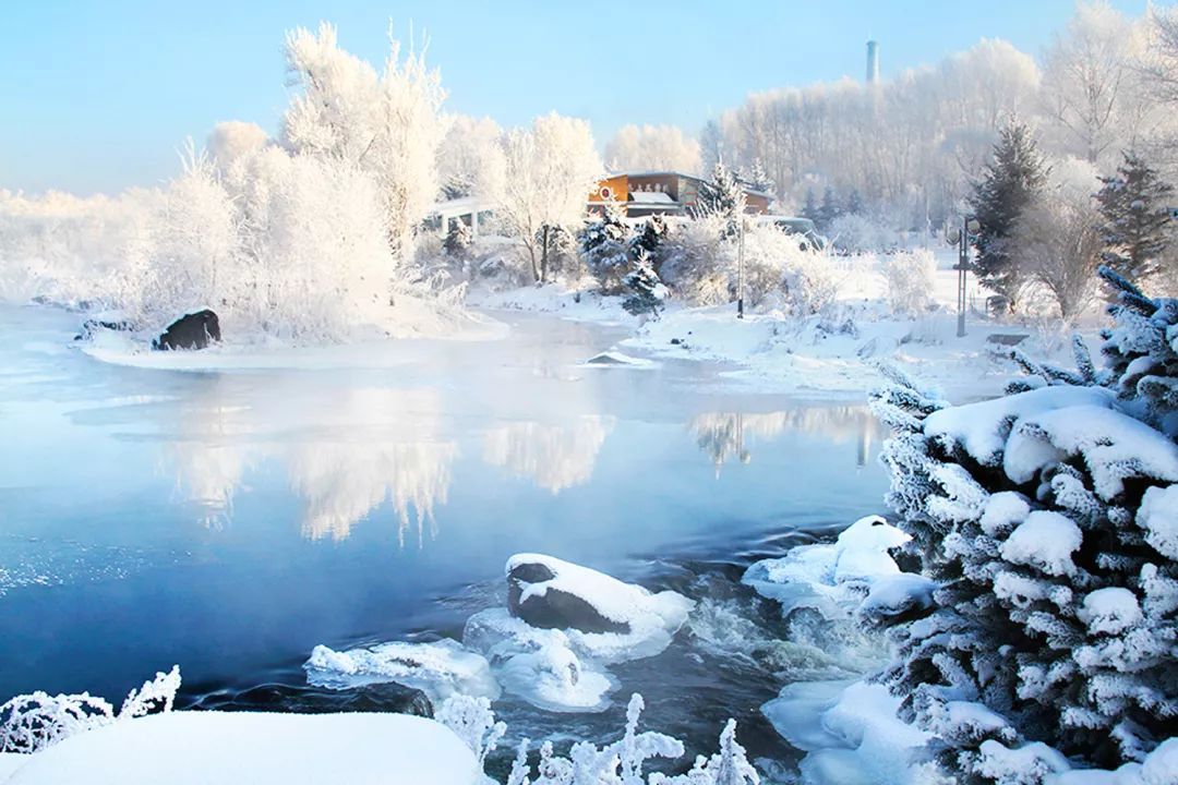 黑龙江智慧生活新纪元，前沿科技产品引领未来生活探索