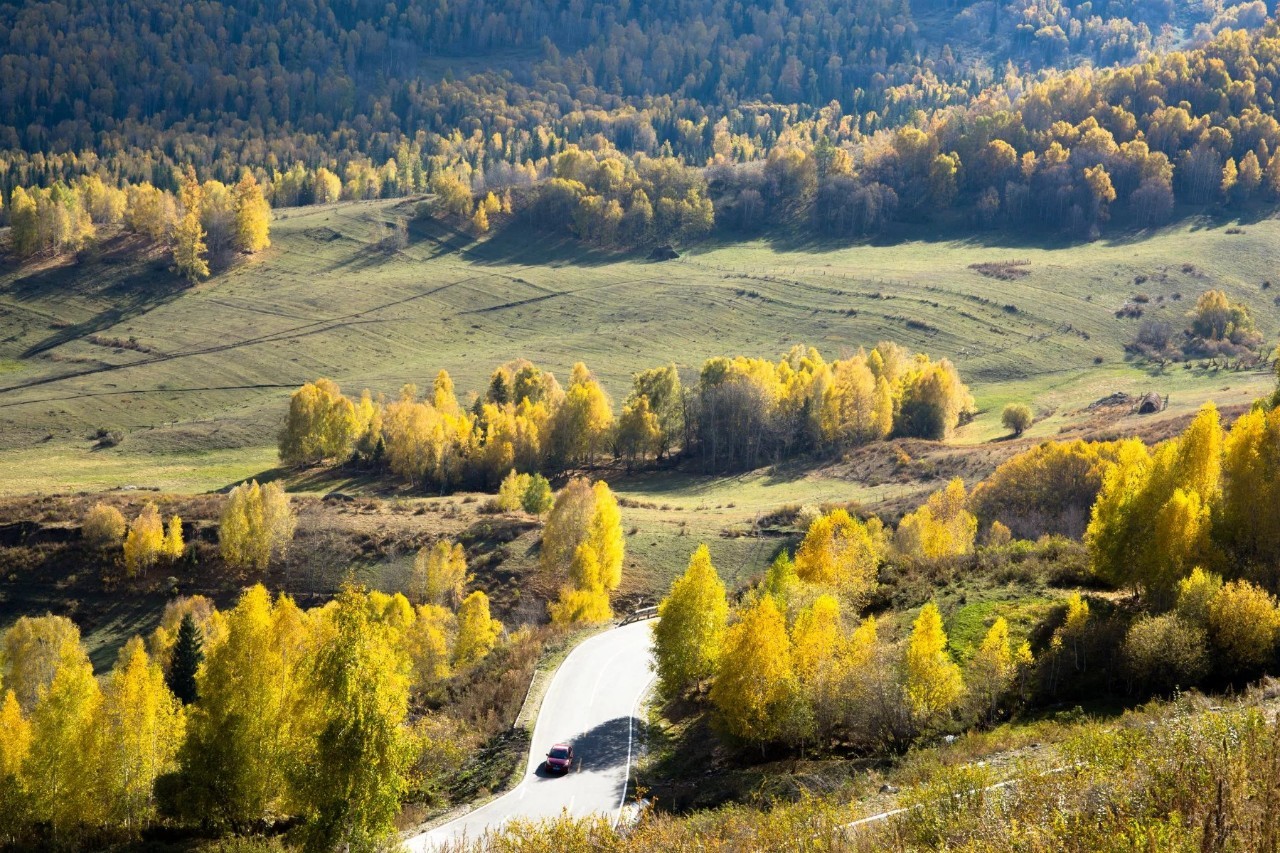 梦想翱翔，新疆丝绸之路的翅膀